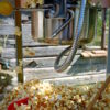 Popcornmaschine mit Branding