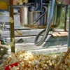 Popcornmaschine mit Branding – Bild 2